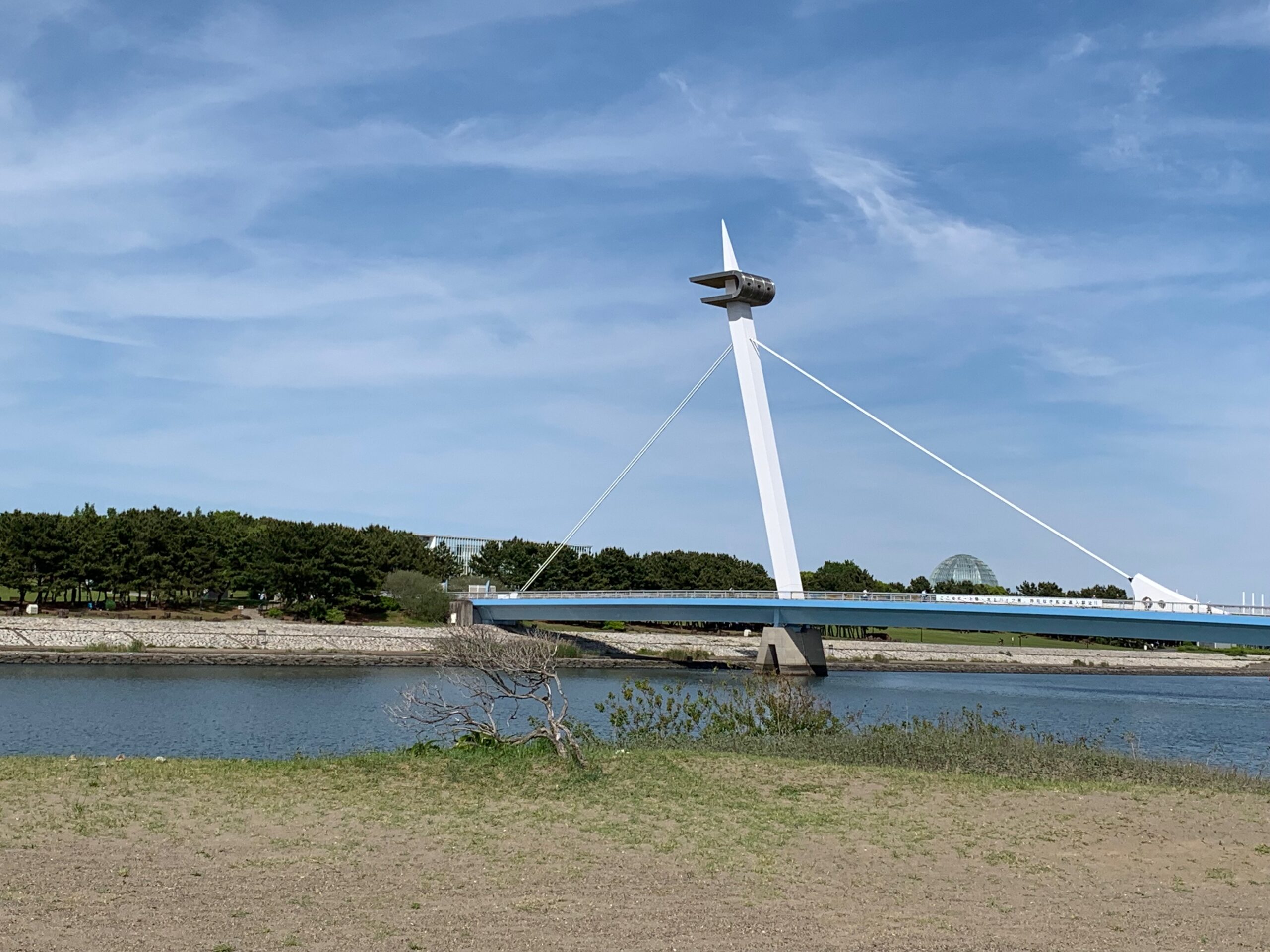 ＜ぼく・わたし達の取り組み＞葛西海浜公園
