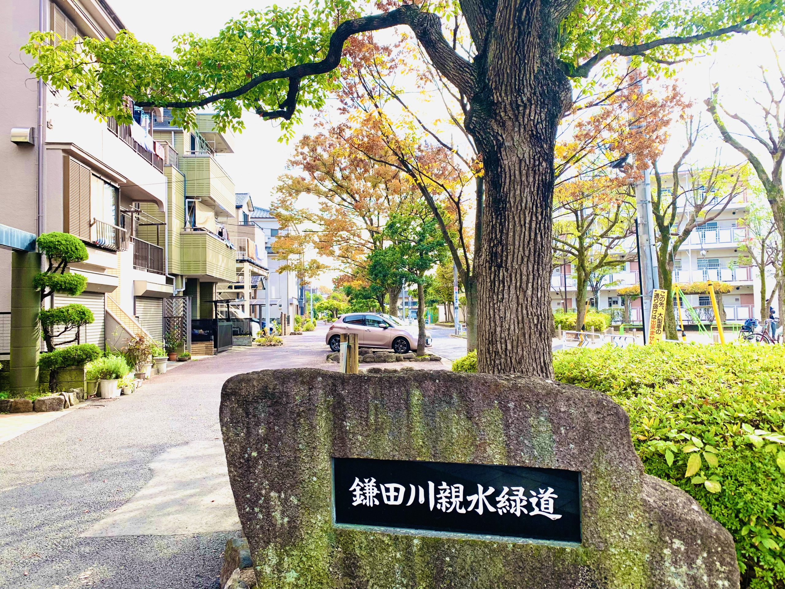 【江戸川区】鎌田川親水緑道