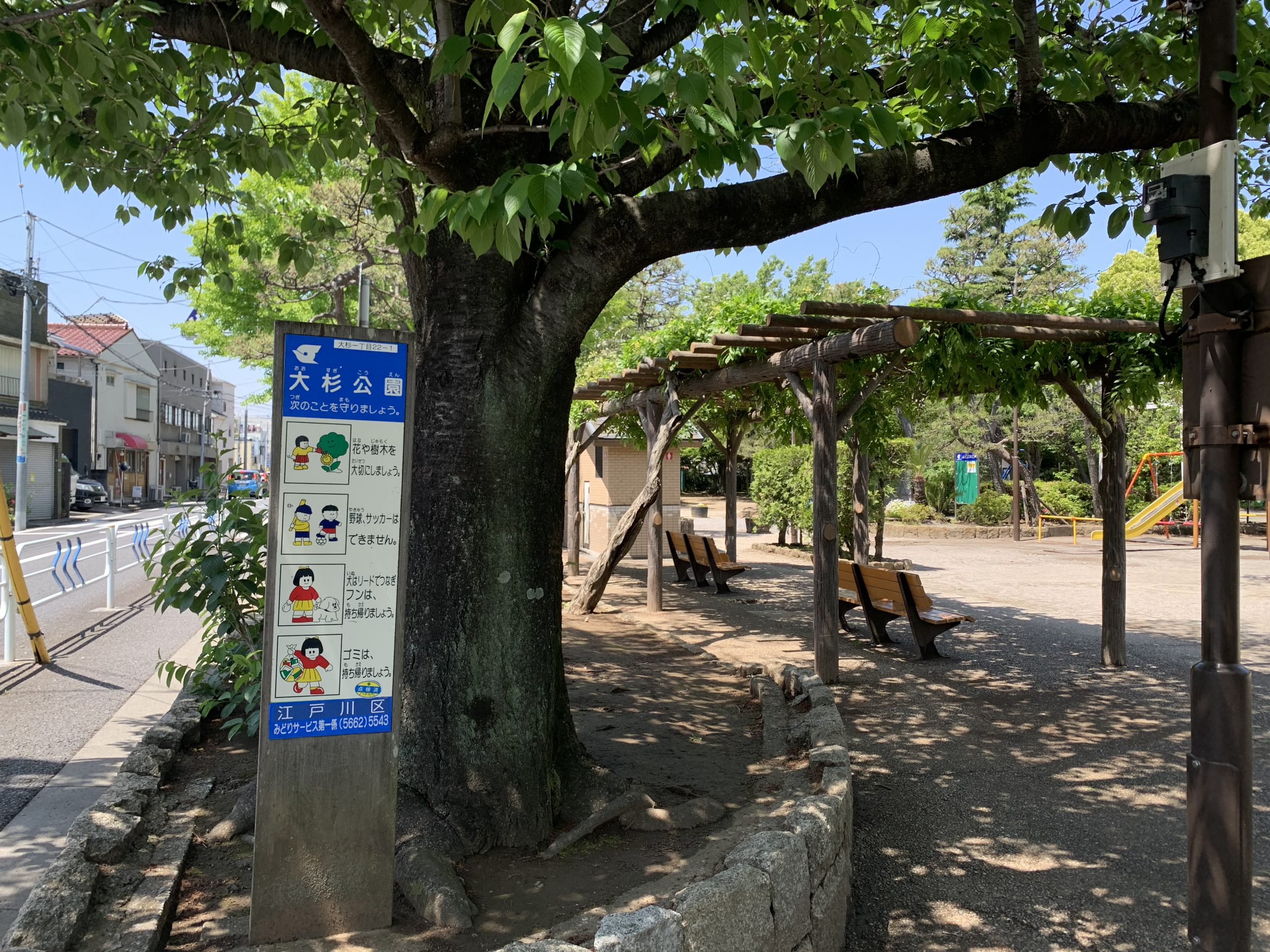 【江戸川区】大杉公園