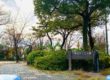 【江戸川区】下鎌田さくら公園
