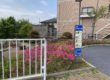 【江戸川区】中篠崎公園