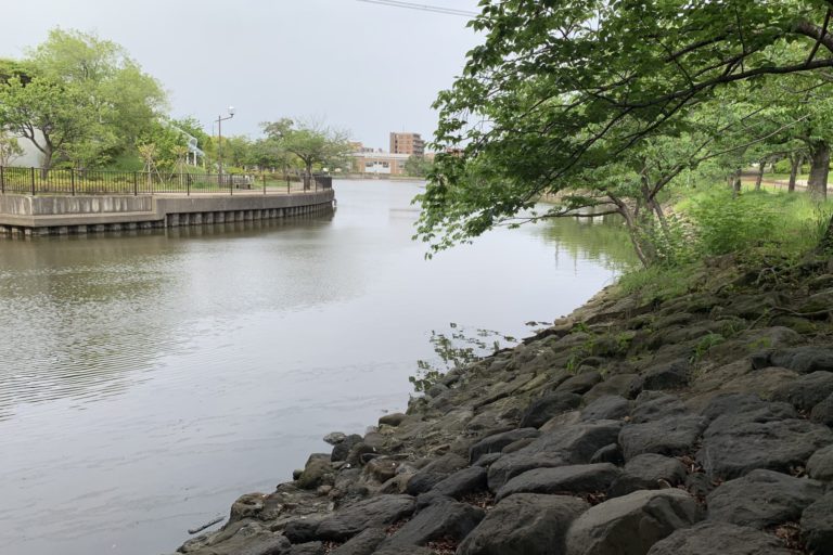 新左近川親水公園カヌー場を取材しました！